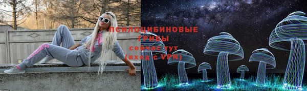 дживик Алексин
