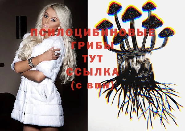 дживик Алексин