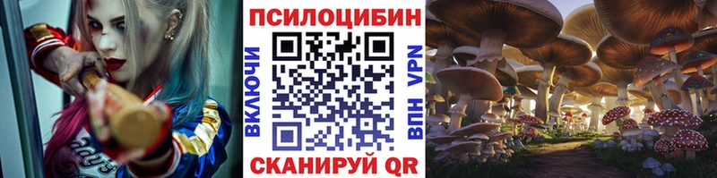 Галлюциногенные грибы мицелий Алзамай