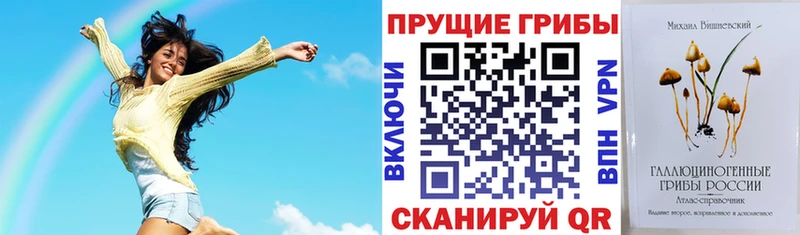 Купить где  Алзамай  Галлюциногенные грибы прущие грибы 
